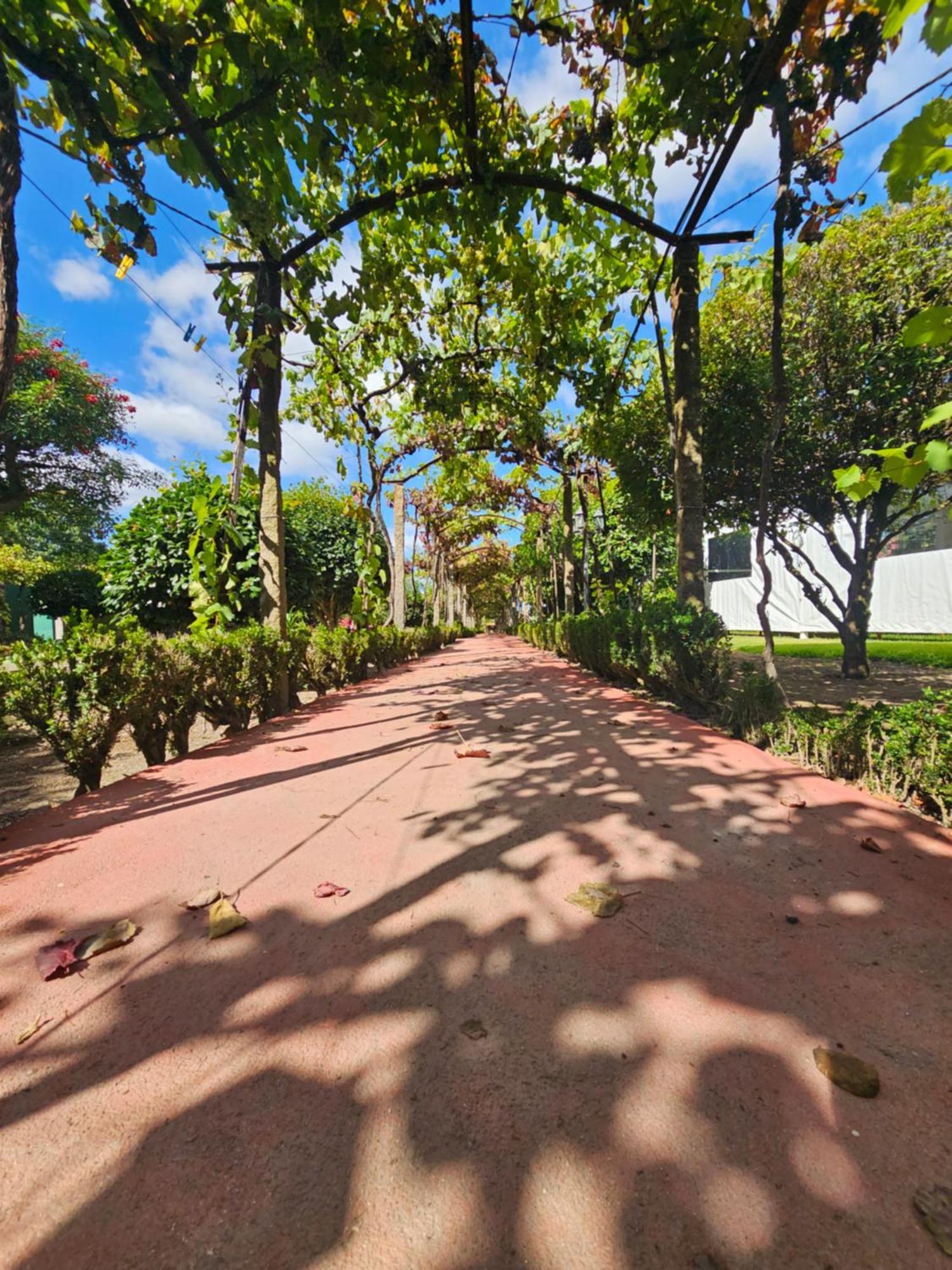 Hotel Solar Da Saudade Landim Exteriér fotografie